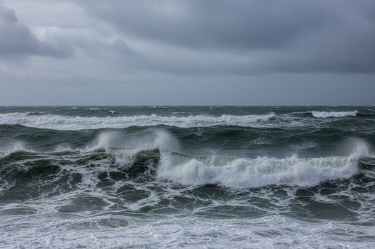 LA ADOPCIÓN: UN VIAJE DE MAR BRAVA (y por qué no deberías hacerlo sola)